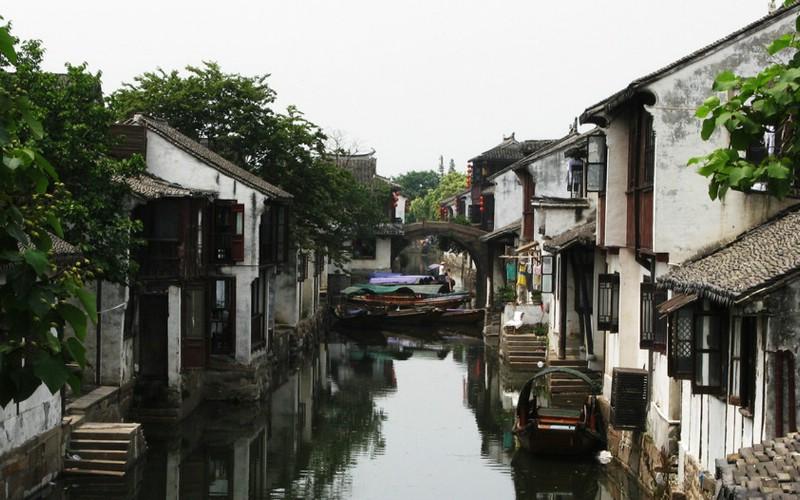 漂亮鹦鹉救援